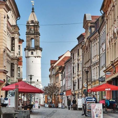 Free Wifi & Kaffee - Romantische 3 Zimmer Wohnung Баутцен Экстерьер фото